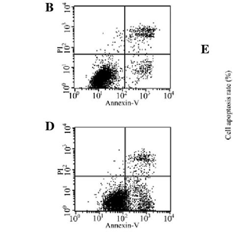 Apoptosis Rate Of Hela Cells Under Different Pulse Numbers Tested By