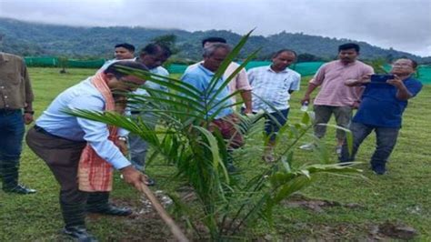 Palm Oil Cultivation पाम तेल का उत्पादन बढ़ाने के लिए सरकार ने मेगा ऑयल पाम वृक्षारोपण अभियान