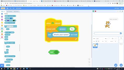 Scratch Lab 6 Conditional Loops YouTube