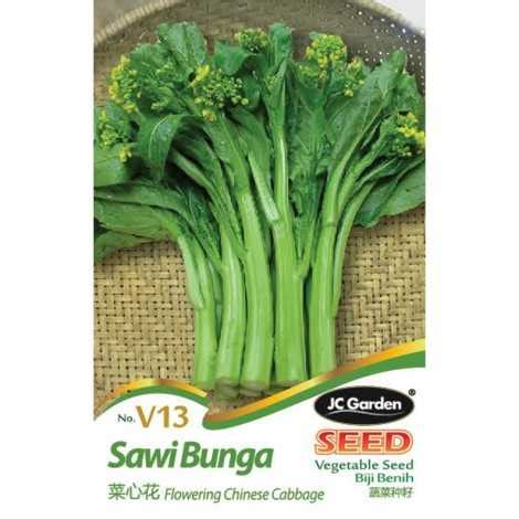 Jc Garden V Vegetable Seed Flowering Chinese Cabbage Sawi Bunga