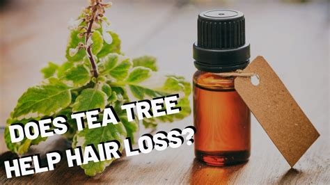 Tea Tree Oil For Hair Loss 3 Benefits And Methods Youtube