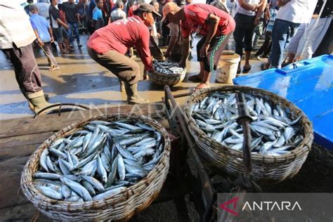 Knti Ajak Masyarakat Aceh Lebih Giat Konsumsi Ikan Untuk Cegah Stunting