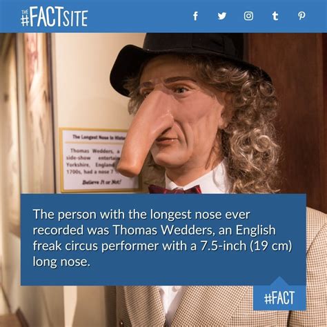 The Fact Site - The person with the longest nose ever recorded was...