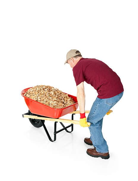 Mulch Wheelbarrow Stock Photos Pictures And Royalty Free Images Istock