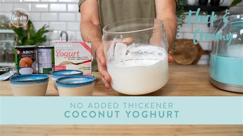 Homemade THICK CREAMY COCONUT YOGHURT With NO ADDED THICKENER YouTube