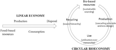 The Circular Bioeconomy As A Sustainability Transition Away From A