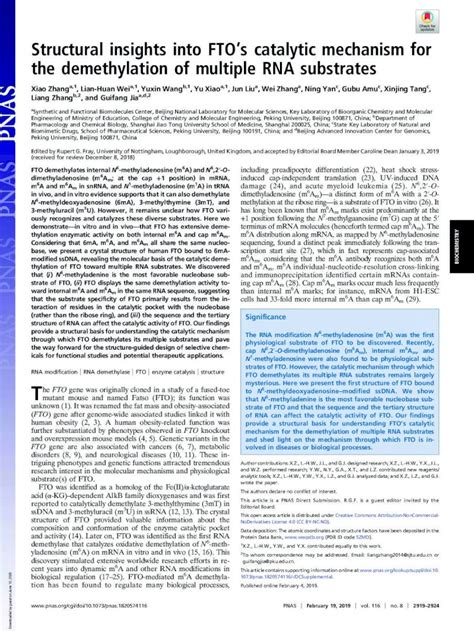 PDF Structural Insights Into FTOs Catalytic Mechanism Structural