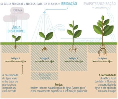 Agricultura Irrigada Saiba O Que Veja Os Principais M Todos E Vantagens