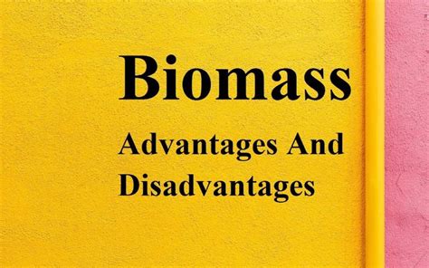 Biomass Energy Advantages And Disadvantages 2024 - Woodbase®