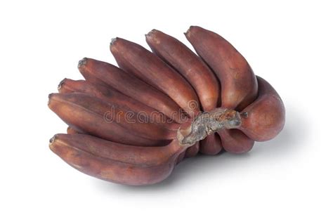 Ripe Red Bananas Bunch stock photo. Image of snack, fruit - 22336688