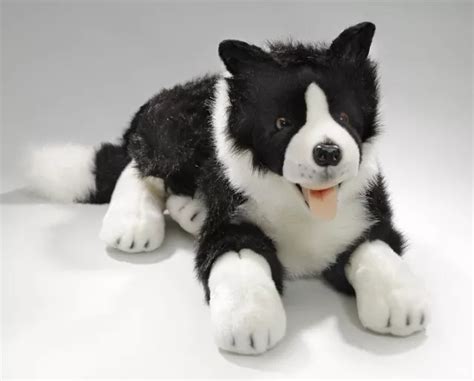 Carl Dick Border Collie Couch Environ Cm Peluche Peluche