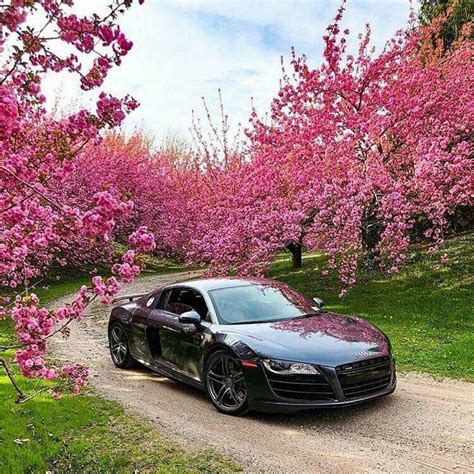 A Black Sports Car Parked On A Dirt Road In Front Of Pink Flowers And Trees