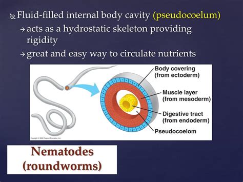 Ppt Infections Journal Powerpoint Presentation Free Download Id