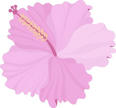 Pink Hibiscus Flower Hand Drawn Illustration 10170556 Png