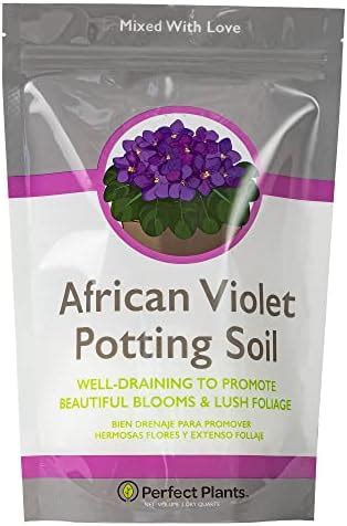 Amazon Miracle Gro African Violet Potting Mix Qt Soil And