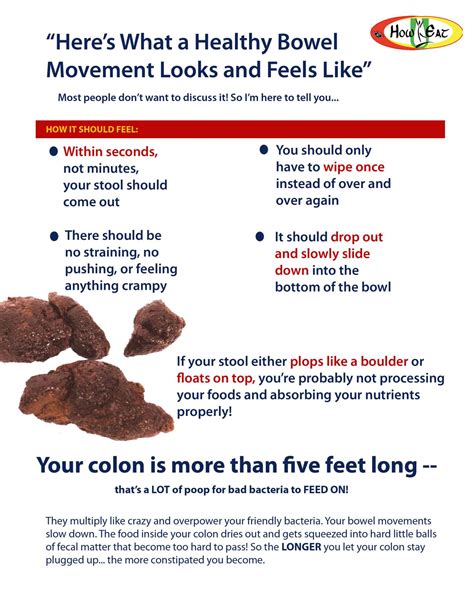 Bowel Movement Types