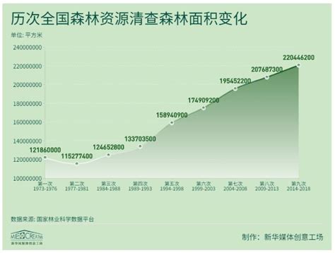 40年实现碳中和，我们的底气何在？