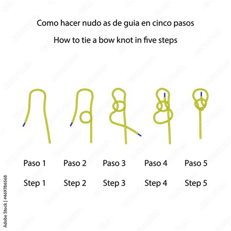 Como Hacer Nudo As De Gu A En Cinco Pasos Vector Ilustraci N Stock