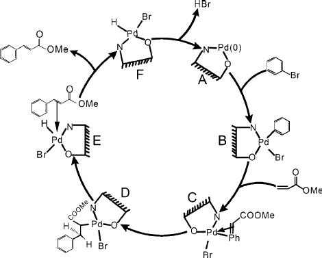 Catalytic Cycle Of MizorokiHeck Cross Coupling Reaction Over Pd MPTAT