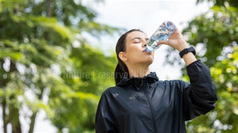 Why Water Cycle is Important to Human - Nature Preserve Hub