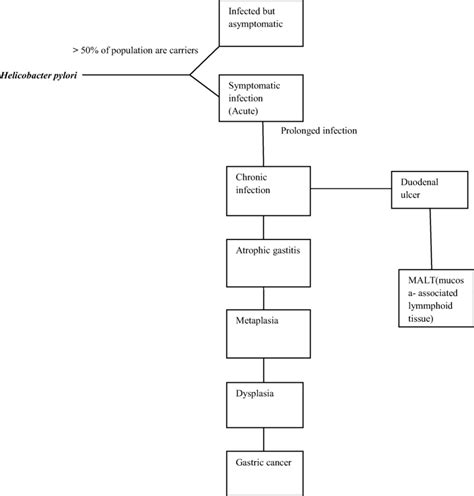 Overview of possible complications of H. pylori infection | Download Scientific Diagram