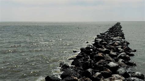 Gulf Coast Jetty Fishing For Saltwater Fish Landed Fishing