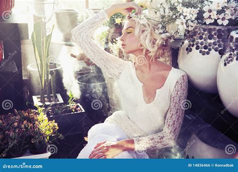 Schitterende Blonde Schoonheid Stock Foto Image Of Bloemblaadjes Mooi