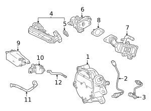 Evaporative Emissions System Lines Toyota