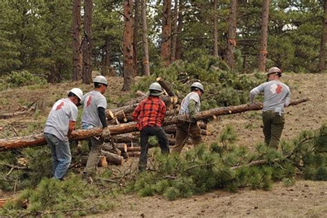 Wildfire Mitigation Grants Application Period Open For Spring The