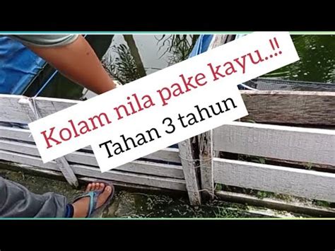 Kelebihan Dan Kekurangan Kolam Kayu Harus Tau YouTube