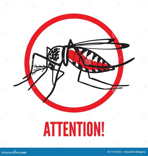 Insect Mosquito Aedes Aegypti Stock Vector Illustration Of