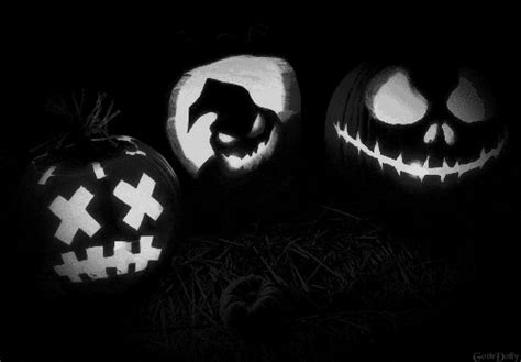 Halloween Pumpkin GIF - Find & Share on GIPHY