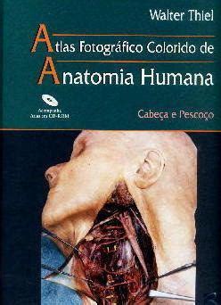 Livro Atlas Anatomia Humana Artigo Sobre O Pulm O Humano Quais S O As