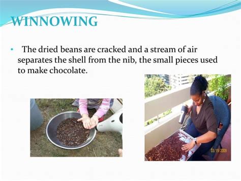 Cocoa Processing Ppt