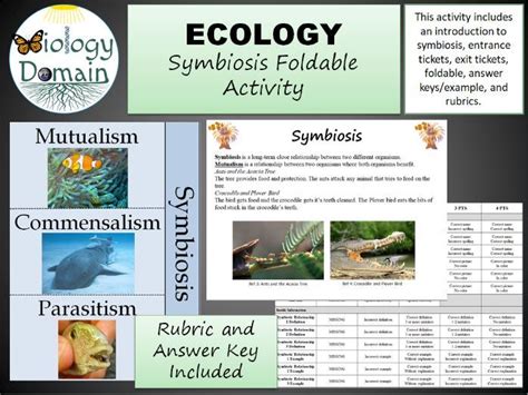 Ecology: Symbiosis Foldable | Teaching Resources