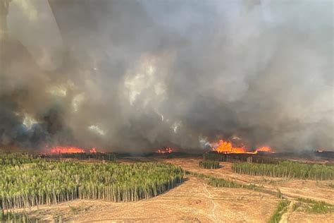 Alberta declares state of emergency over wildfires | Reuters