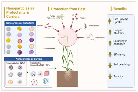 Agriculture Free Full Text Nanotechnology As A Promising Tool