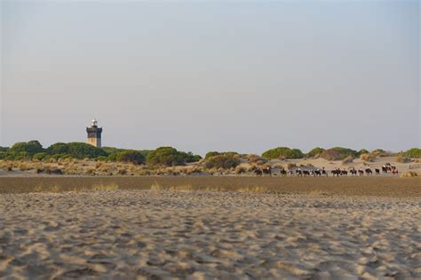 Tarifs réservation Le Phare de l Espiguette Grau du Roi