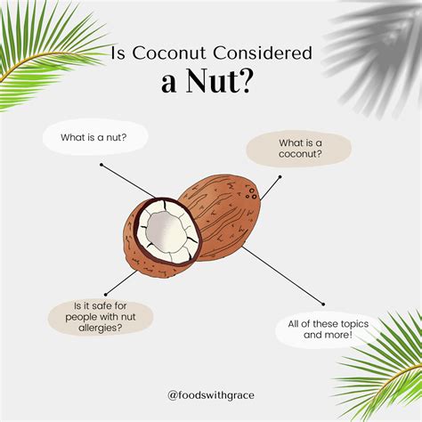 Is coconut considered a nut? - Foods with Grace