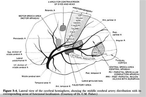 Dominant Parts – Telegraph