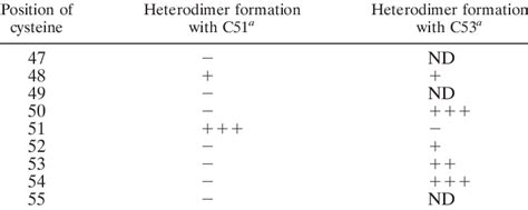 Heterodimer formation | Download Table