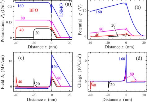 Color Online A Polarization B Potential C Electric Field And D