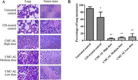 Primary Cca Tumors And Lung Metastases At Autopsy Of The Cca Download Scientific Diagram