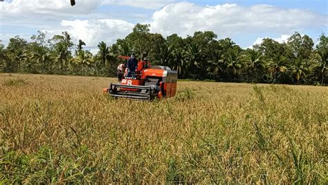 40 Ha Lahan Di Merauke Disulap Jadi Lumbung Pangan Seperti Apa