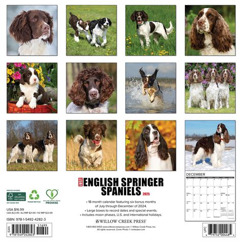 Engelse Springer Spaniel Kalender Kopen Bestel Eenvoudig Online