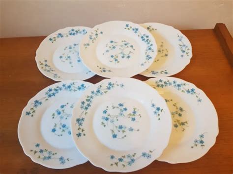 6 ASSIETTES DESSERT Arcopal Véronica Vintage décor Myosotis EUR 12 00