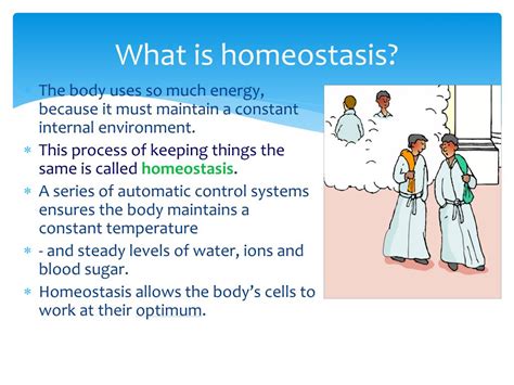 Homeostasis PPT