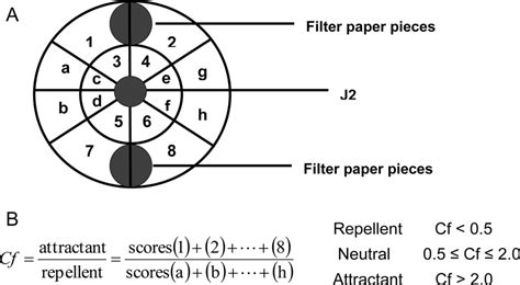 Diagram Of In Vitro Chemotaxis Assay A Grid For The Analysis Of Download Scientific Diagram