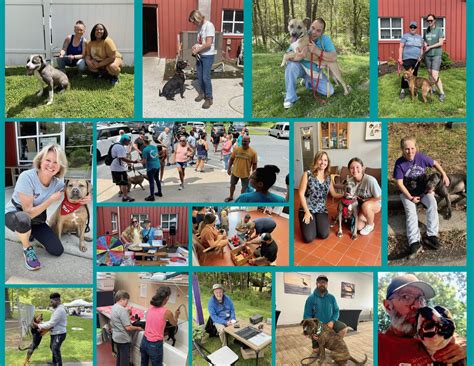 Volunteer – Humane Society of Wicomico County