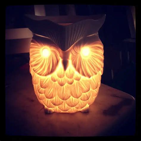 Whoot Owl Scentsy Warmer The Candle Boutique Independent Scentsy Consultant